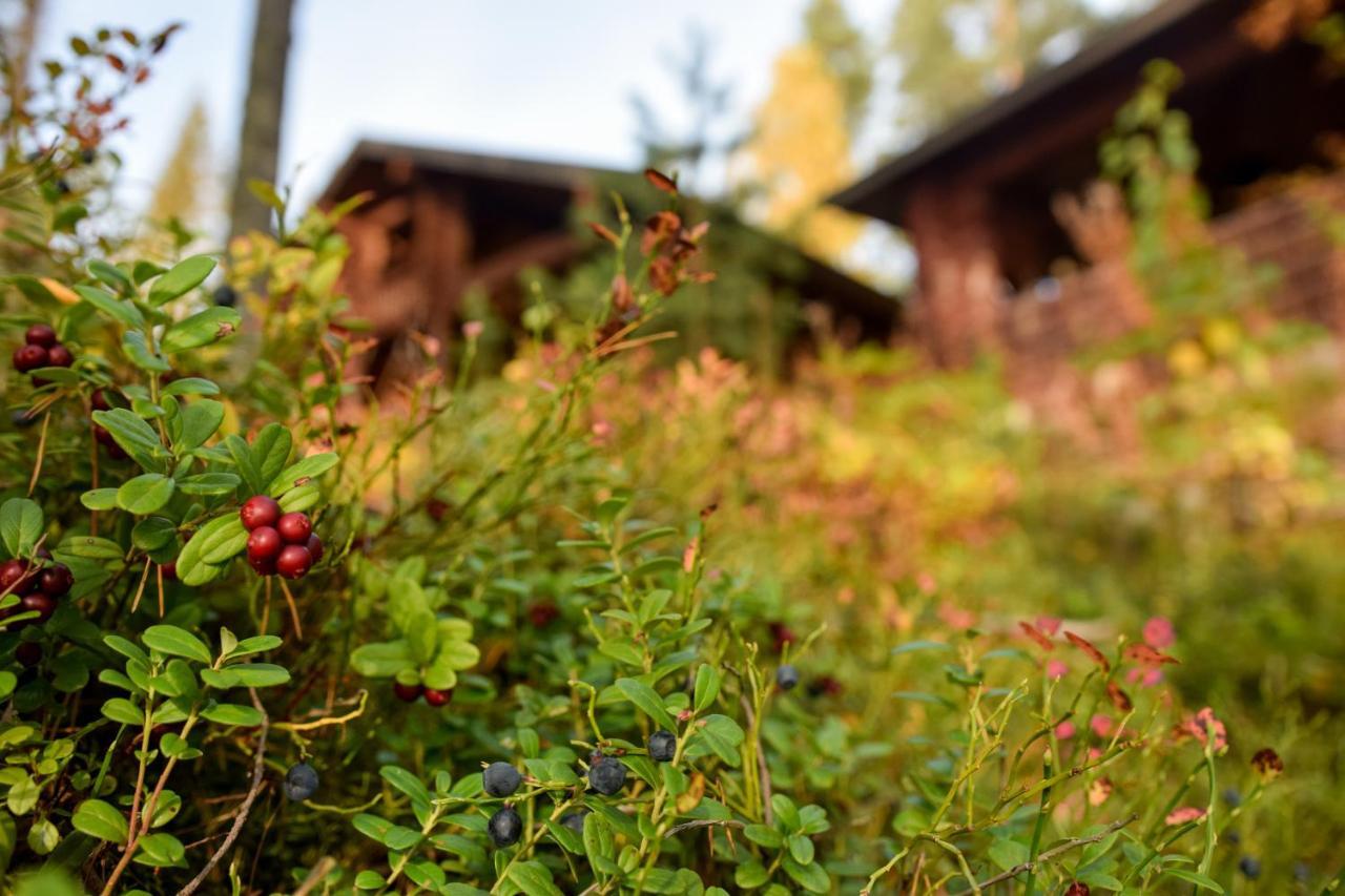 Lomalehto Cottages Ahvionniemi Exterior foto